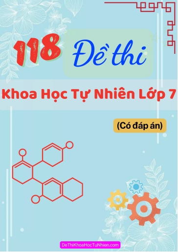 Bộ 118 Đề thi Khoa học tự nhiên Lớp 7 (Có đáp án)