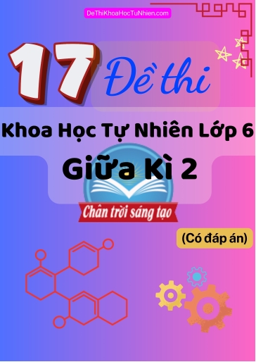 Bộ 17 Đề thi Khoa học tự nhiên Lớp 6 giữa Kì 2 Chân Trời Sáng Tạo (Có đáp án)