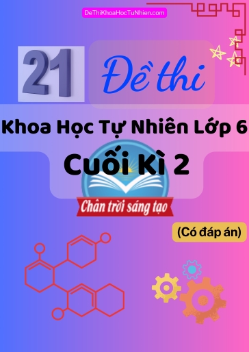 Bộ 21 Đề thi Khoa học tự nhiên Lớp 6 cuối Kì 2 Chân Trời Sáng Tạo (Có đáp án)