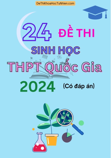 Bộ 24 Đề thi Sinh Học THPT quốc gia 2024 (Có đáp án)