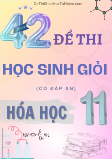 Bộ 42 đề luyện thi học sinh giỏi Hóa học Lớp 11 (Có đáp án)