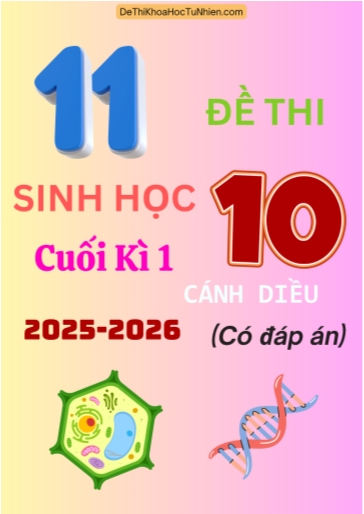 Bộ 11 Đề thi Sinh học 10 Cánh Diều cuối kì 1 năm học 2025-2026 (Có đáp án)