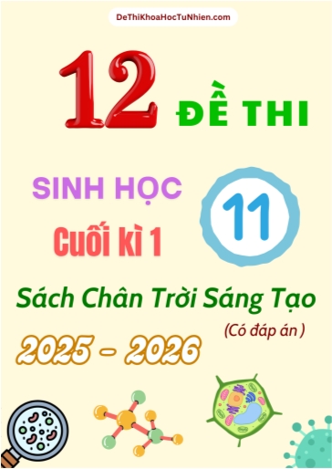 Bộ 12 Đề thi Sinh học 11 Chân Trời Sáng Tạo cuối kì 1 năm học 2025-2026 (Có đáp án)