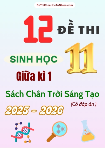 Bộ 12 Đề thi Sinh học 11 Chân Trời Sáng Tạo giữa kì 1 năm học 2025-2026 (Có đáp án)