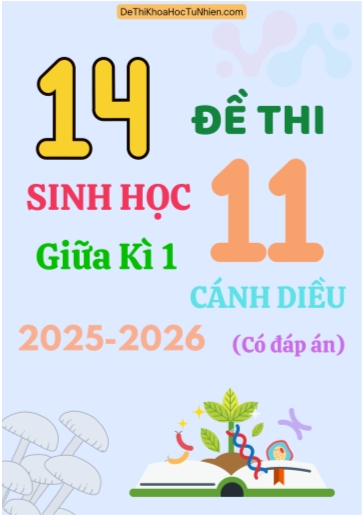 Bộ 14 Đề thi Sinh học 11 Cánh Diều giữa kì 1 năm học 2025-2026 (Có đáp án)