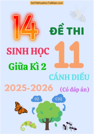 Bộ 14 Đề thi Sinh học 11 Cánh Diều giữa kì 2 năm học 2025-2026 (Có đáp án)