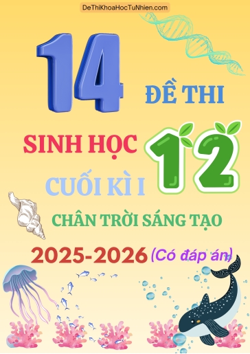 Bộ 14 Đề thi Sinh học 12 CTST cuối kì 1 năm học 2025-2026 (Có đáp án)