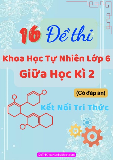 Bộ 16 Đề thi Khoa học tự nhiên Lớp 6 giữa Kì 2 sách Kết Nối Tri Thức (Có đáp án)