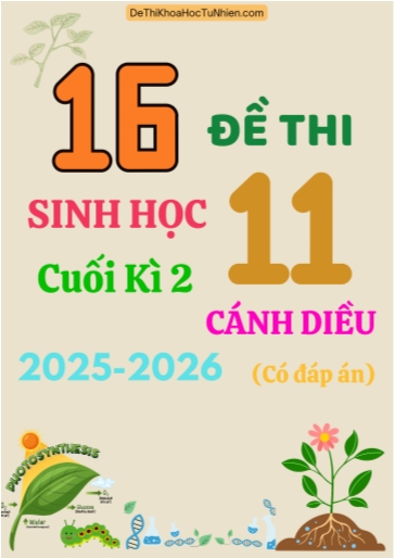 Bộ 16 Đề thi Sinh học 11 Cánh Diều cuối kì 2 năm học 2025-2026 (Có đáp án)