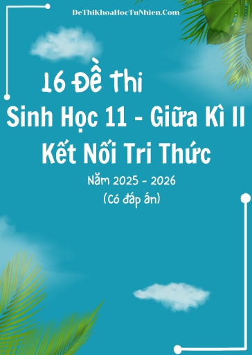 Bộ 16 Đề thi Sinh học 11 Kết Nối Tri Thức giữa kì 2 năm học 2025-2026 (Có đáp án)