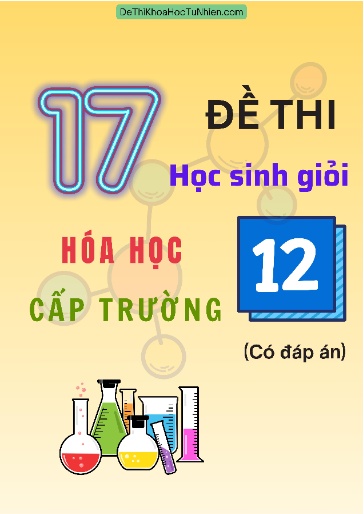 Bộ 17 Đề thi Học sinh giỏi môn Hóa học Lớp 12 cấp Trường (Có đáp án)