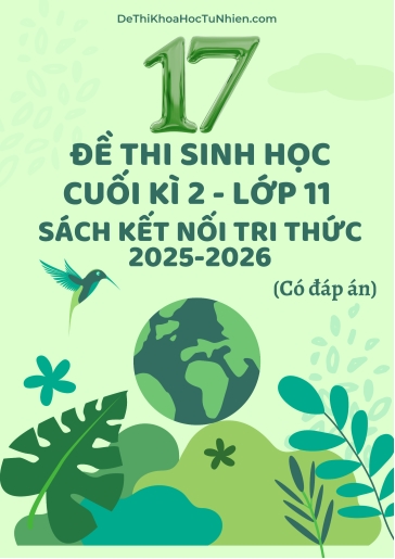 Bộ 17 Đề thi Sinh học 11 Kết Nối Tri Thức cuối kì 2 năm học 2025-2026 (Có đáp án)