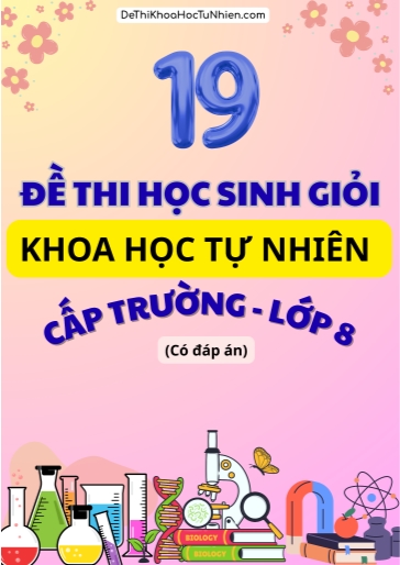 Bộ 19 Đề thi Học sinh giỏi môn KHTN 8 cấp Trường (Có đáp án)
