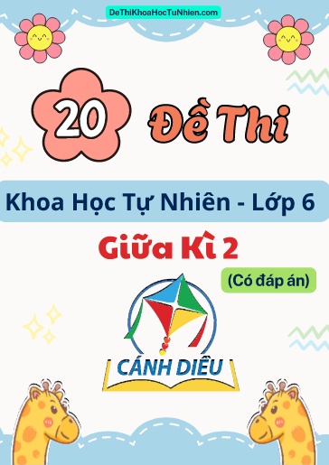 Bộ 20 Đề thi Khoa học tự nhiên Lớp 6 giữa Kì 2 Cánh Diều (Có đáp án)