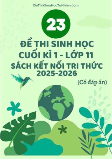 Bộ 23 Đề thi Sinh học 11 Kết Nối Tri Thức cuối kì 1 năm học 2025-2026 (Có đáp án)