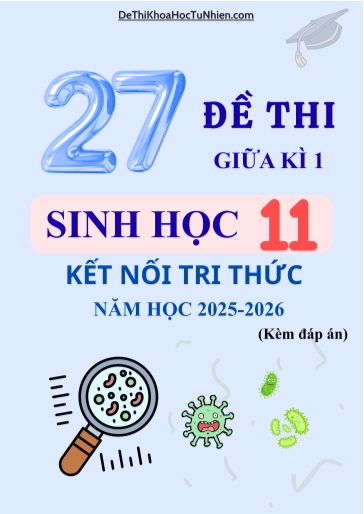 Bộ 27 Đề thi Sinh học 11 Kết Nối Tri Thức giữa kì 1 năm học 2025-2026 (Có đáp án)