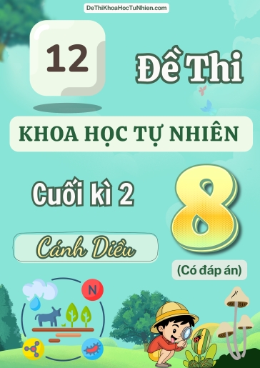 Bộ 12 Đề thi KHTN Lớp 8 cuối Kì 2 Cánh Diều (Có đáp án)