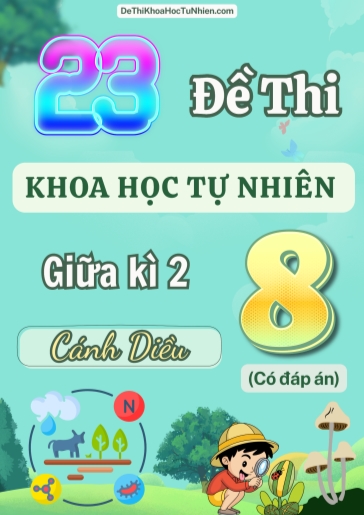 Bộ 23 Đề thi KHTN Lớp 8 giữa Kì 2 Cánh Diều (Có đáp án)