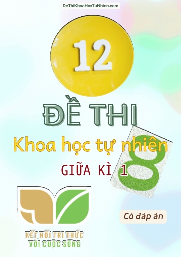 Bộ 12 Đề thi KHTN Lớp 8 giữa Kì 1 Kết Nối Tri Thức (Có đáp án)