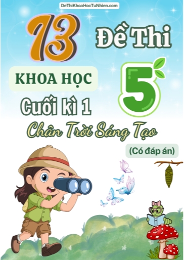 Bộ 13 Đề thi Khoa Học Lớp 5 cuối Kì 1 Chân Trời Sáng Tạo (Có đáp án)