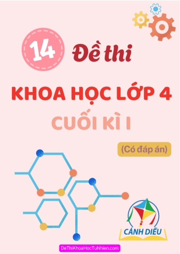 Bộ 14 Đề thi Khoa học Lớp 4 cuối Kì 1 sách Cánh Diều (Có đáp án)