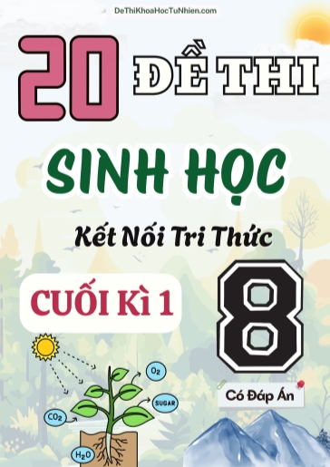 Bộ 20 Đề thi Sinh Học Lớp 8 cuối Kì 1 Kết Nối Tri Thức (Có đáp án)