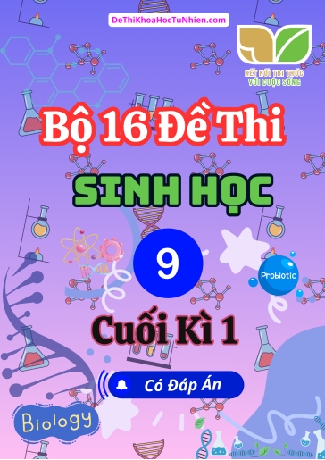 Bộ 16 Đề thi Sinh Học Lớp 9 cuối Kì 1 Kết Nối Tri Thức (Có đáp án)