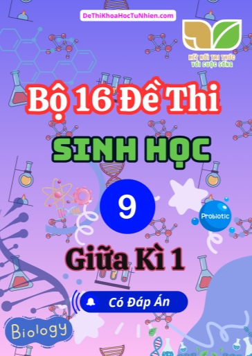 Bộ 16 Đề thi Sinh Học Lớp 9 giữa Kì 1 Kết Nối Tri Thức (Có đáp án)