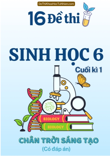 Bộ 16 Đề thi Sinh Học Lớp 6 cuối Kì 1 Chân Trời Sáng Tạo (Có đáp án)