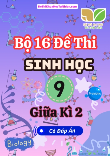 Bộ 16 Đề thi Sinh Học Lớp 9 giữa Kì 2 Kết Nối Tri Thức (Có đáp án)