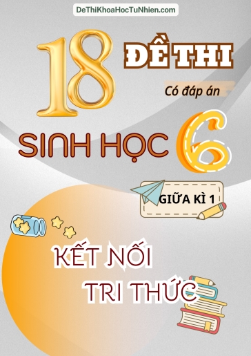 Bộ 18 Đề thi Sinh Học Lớp 6 giữa Kì 1 Kết Nối Tri Thức (Có đáp án)