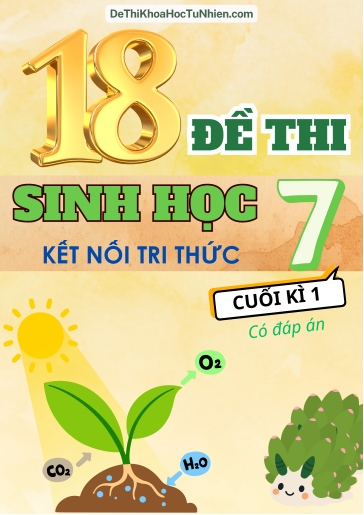 Bộ 18 Đề thi Sinh Học Lớp 7 cuối Kì 1 Kết Nối Tri Thức (Có đáp án)