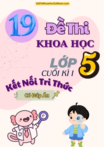 Bộ 19 Đề thi Khoa Học Lớp 5 cuối Kì 1 Kết Nối Tri Thức (Có đáp án)