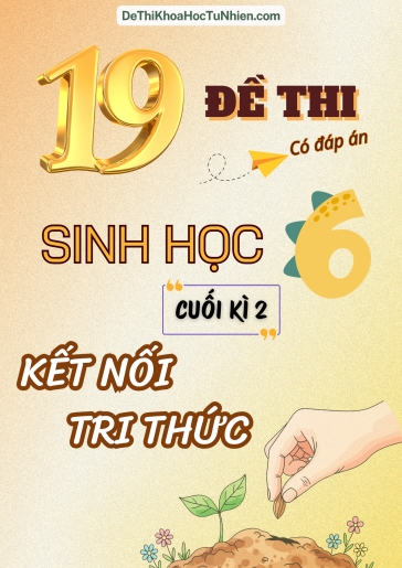 Bộ 19 Đề thi Sinh Học Lớp 6 cuối Kì 2 Kết Nối Tri Thức (Có đáp án)