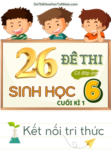 Bộ 26 Đề thi Sinh Học Lớp 6 cuối Kì 1 Kết Nối Tri Thức (Có đáp án)