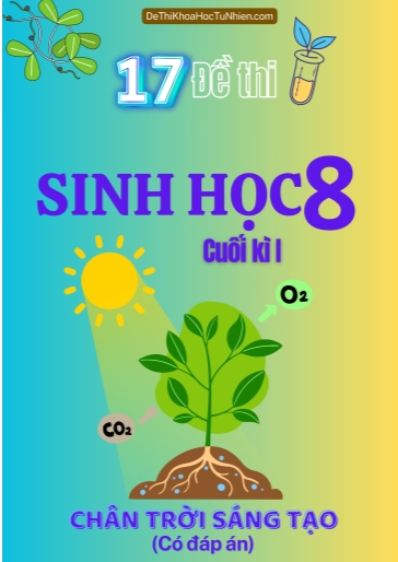 Bộ 17 Đề thi Sinh Học Lớp 8 cuối Kì 1 Chân Trời Sáng Tạo (Có đáp án)