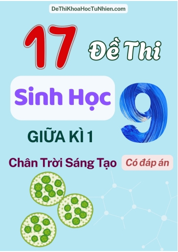 Bộ 17 Đề thi Sinh Học Lớp 9 giữa Kì 1 Chân Trời Sáng Tạo (Có đáp án)