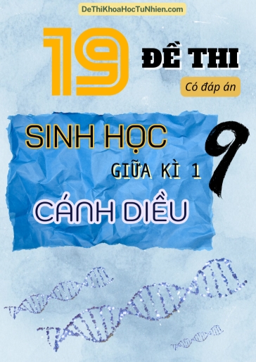 Bộ 19 Đề thi Sinh Học Lớp 9 giữa Kì 1 Cánh Diều (Có đáp án)