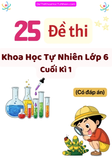 Bộ 25 Đề thi KHTN 6 cuối Kì 1 phần Tự luận (Có đáp án)