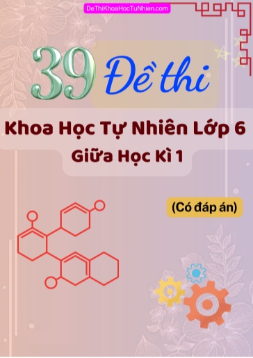 Bộ 39 Đề thi KHTN 6 giữa Kì 1 phần Tự luận (Có đáp án)
