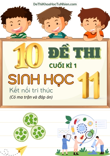 Bộ 10 Đề thi cuối học kì 1 môn Sinh Học lớp 11 có Ma trận và Đáp án (Kết nối tri thức)