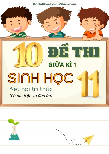 Bộ 10 Đề thi giữa học kì 1 môn Sinh Học lớp 11 có Ma trận và Đáp án (Kết nối tri thức)