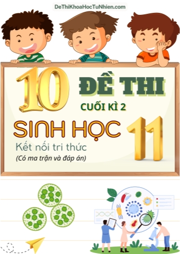 Bộ 11 Đề thi cuối học kì 2 môn Sinh Học lớp 11 có Ma trận và Đáp án (Kết nối tri thức)