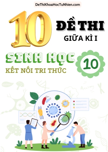 Bộ 10 Đề thi giữa học kì 1 môn Sinh Học lớp 10 có Ma trận và Đáp án (Kết nối tri thức)