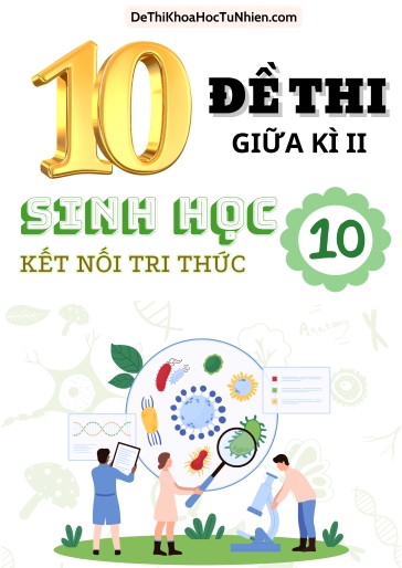Bộ 10 Đề thi giữa học kì 2 môn Sinh Học lớp 10 có Ma trận và Đáp án (Kết nối tri thức)