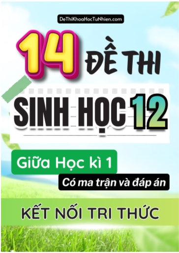 Bộ 14 Đề thi giữa học kì 1 môn Sinh Học lớp 12 có Ma trận và Đáp án (Kết nối tri thức)