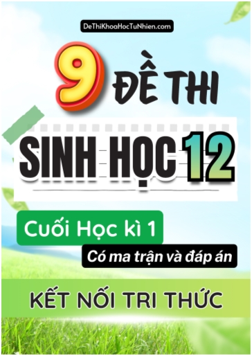 Bộ 9 Đề thi cuối học kì 1 môn Sinh Học lớp 12 có Ma trận và Đáp án (Kết nối tri thức)