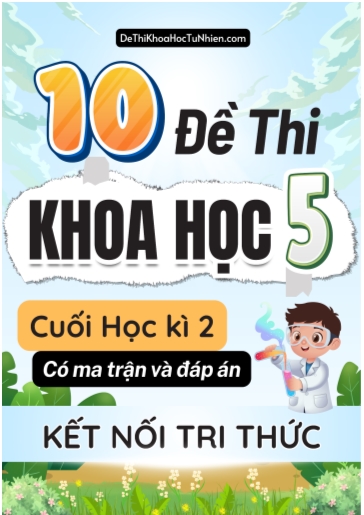 Bộ 10 Đề thi cuối học kì 2 môn Khoa Học lớp 5 có Ma trận và Đáp án (Kết nối tri thức)