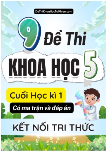 Bộ 9 Đề thi cuối học kì 1 môn Khoa Học lớp 5 có Ma trận và Đáp án (Kết nối tri thức)